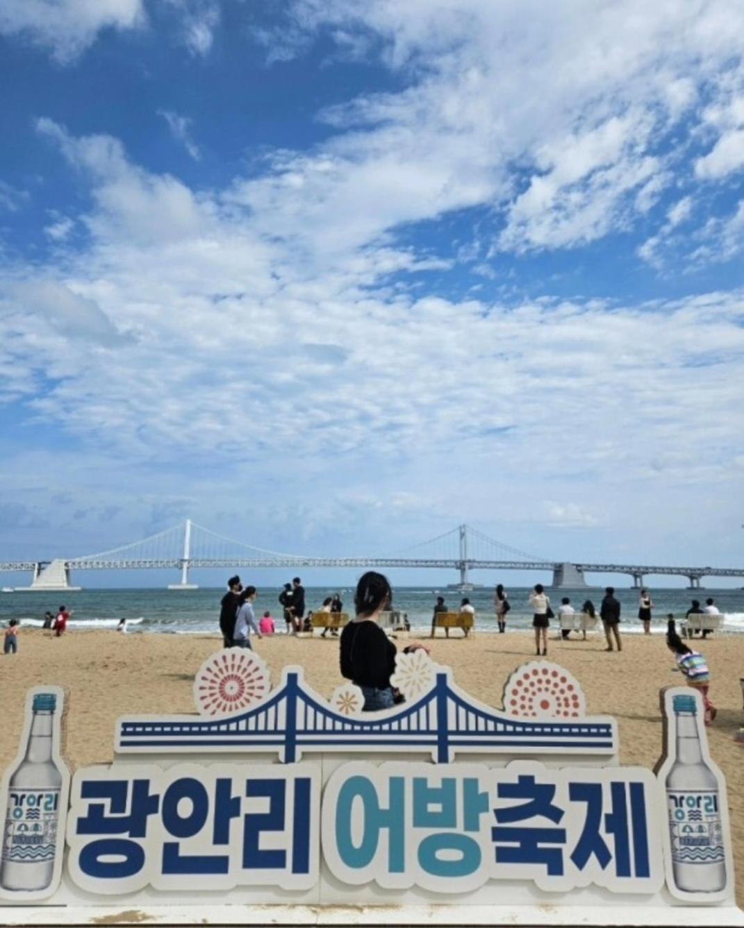 Gwangan Bridge Coni House 公寓